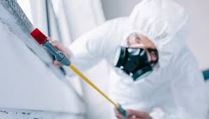 Best Pest Control for Multi-Family Homes  in Columbia City, OR